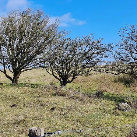 Holiday home 9 Person In Humble-by Traum