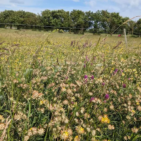 9 Person In Humble-by Traum Holiday home Humble